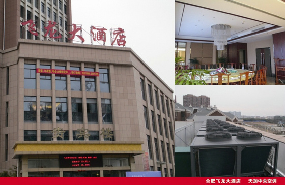 肥西县飞龙大酒店有限公司成立于2007年,至2012年,5年共发展了三家