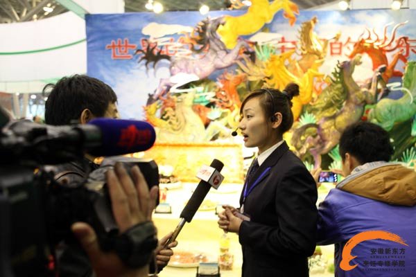 安徽电视台采访安徽新东方展台解说员吴小莉老师